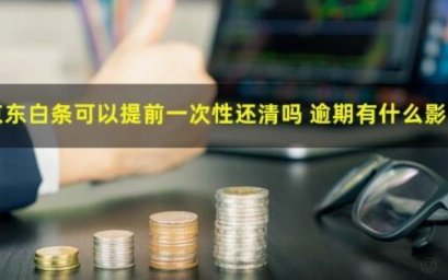 京东白条出库速度与可靠性真相