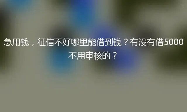 所有都借不出钱了哪里还能借出