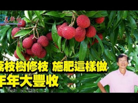 便荔卡如何提额