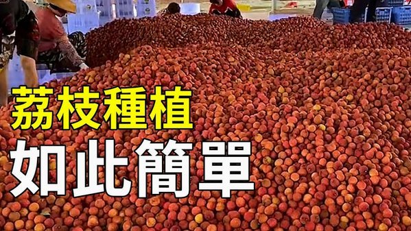便荔卡包购物额度怎么转账