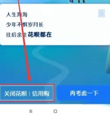 海鸥花呗怎么注销账号