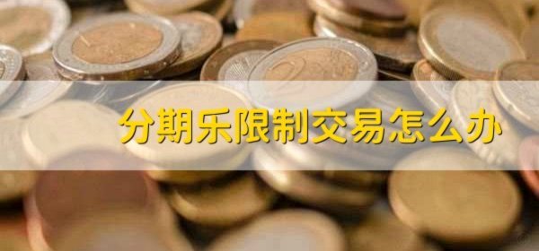 分期乐额度借不出来可以买东西吗