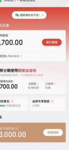 白条购物额度这样用更省心
