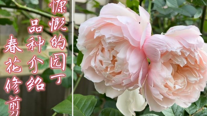 拿去花能套现吗？揭秘背后真相
