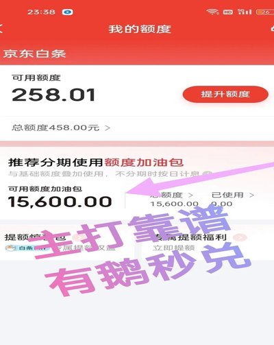 白条加油额度自己能套出来不