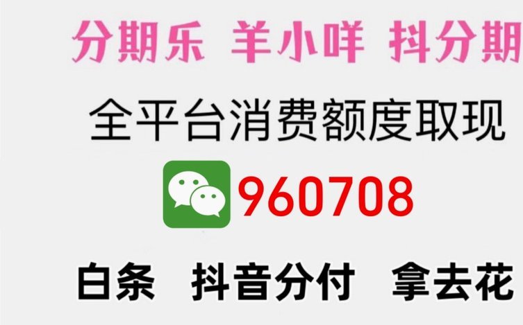 羊小咩购物额度提升技巧揭秘
