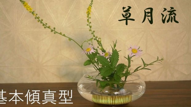 花呗套款：风险与操作指南