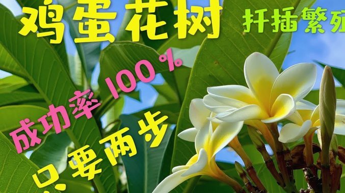 花呗怎么顺利提现？