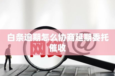 白条逾期怎么协商延期委托催收
