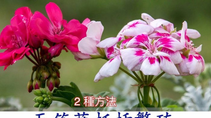花呗套线：违规操作全解析