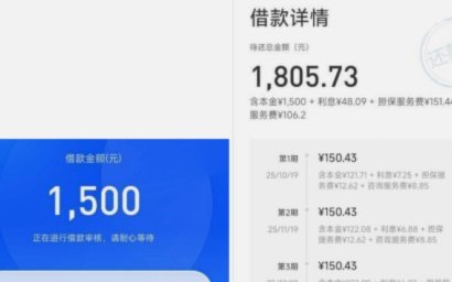 便荔卡包：自然灵感，简约随行