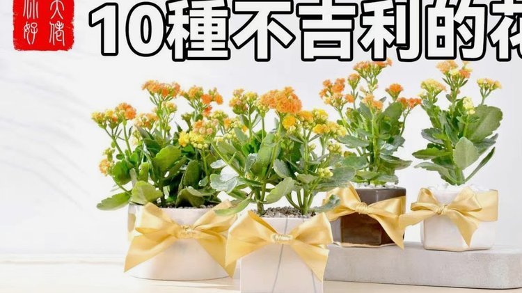 花呗余额如何提取到银行卡？