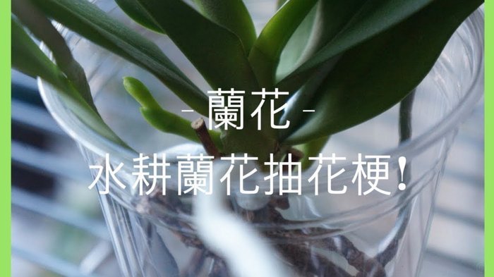 花呗收款后提现全攻略：资金到账、手续费避坑指南