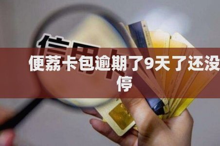 便荔卡包借用的深层逻辑
