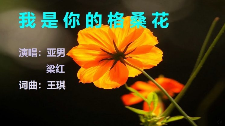 花呗转账：钱要回来有多难？