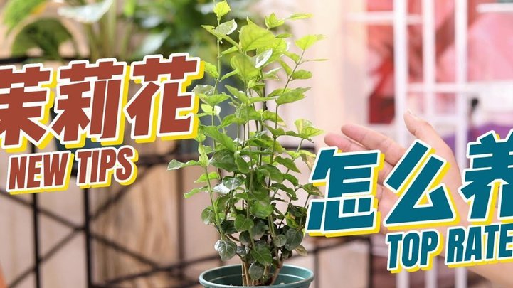 拿去花套现：风险与防范