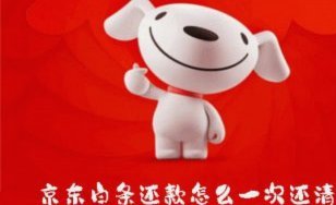 白条取现需一次还清吗