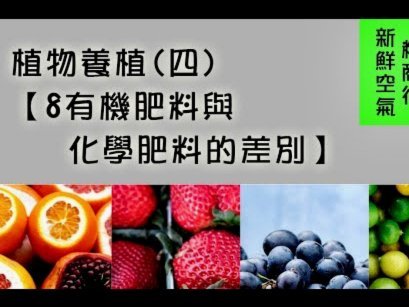 闲置好物变现新渠道