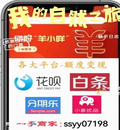 羊小咩享花卡有成功分期的吗