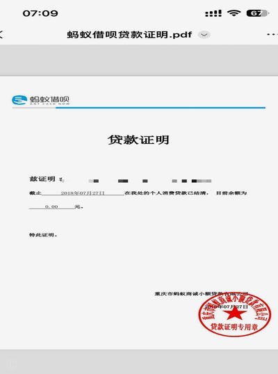 花呗情况说明怎么写模板