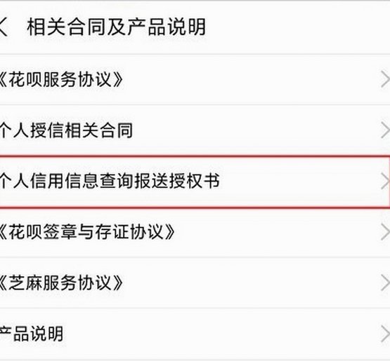 花呗情况说明怎么写模板