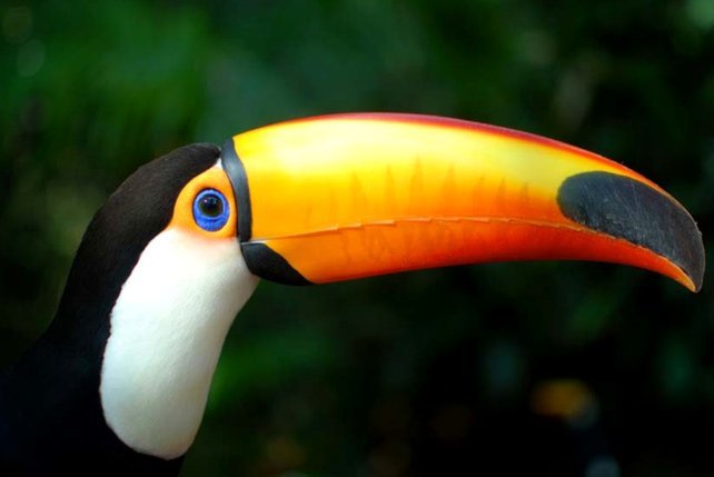 快速开通便荔卡包借钱功能指南