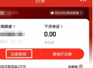 白条怎么套出来钱