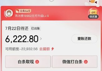 京东白条可以套现出来用吗