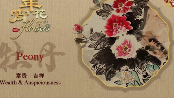 套现花呗平台风险大析