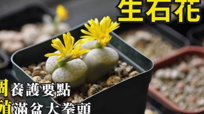 携程拿去花怎么还款教一下
