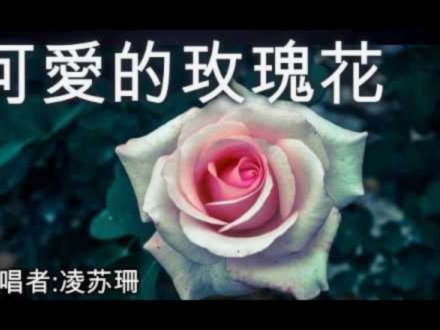 花呗合法？‘套路’是什么？深度解析