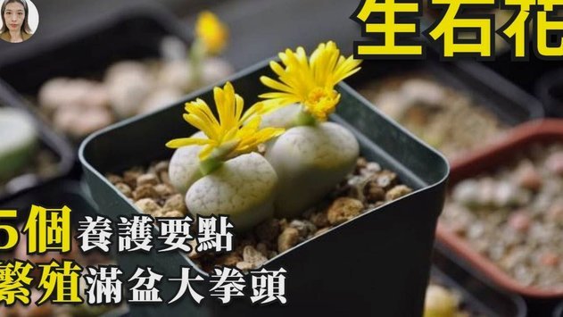 花呗现象 怎么消除