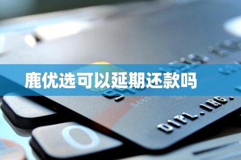 揭秘鹿优选背后的信贷放款机制