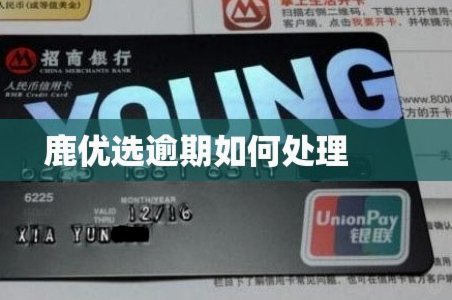 鹿优选是哪个网贷平台里放款的
