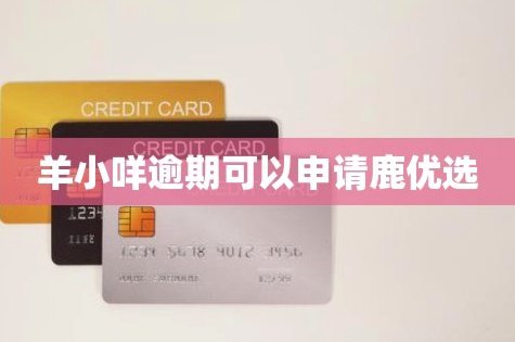 鹿优选是哪个网贷平台里放款的