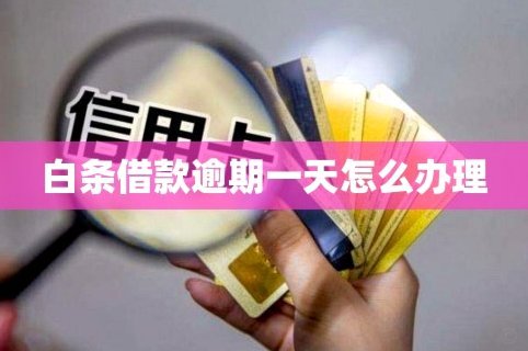 白条借款怎么借