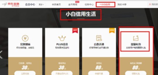 白条临时额度怎么提现