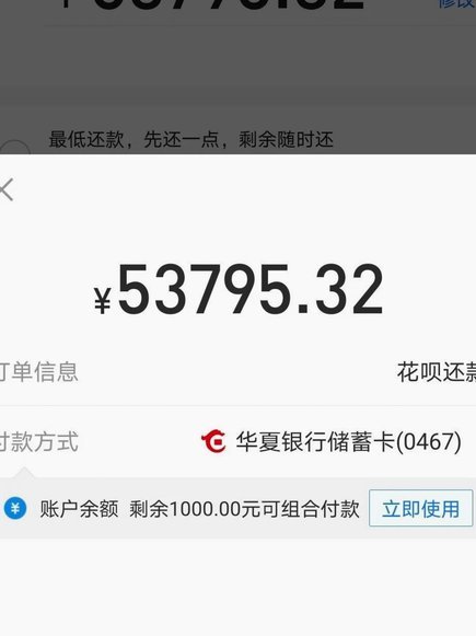 花呗还款策略：用户行为与平台优化