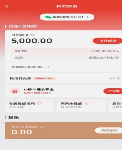 白条加油额度怎么弄