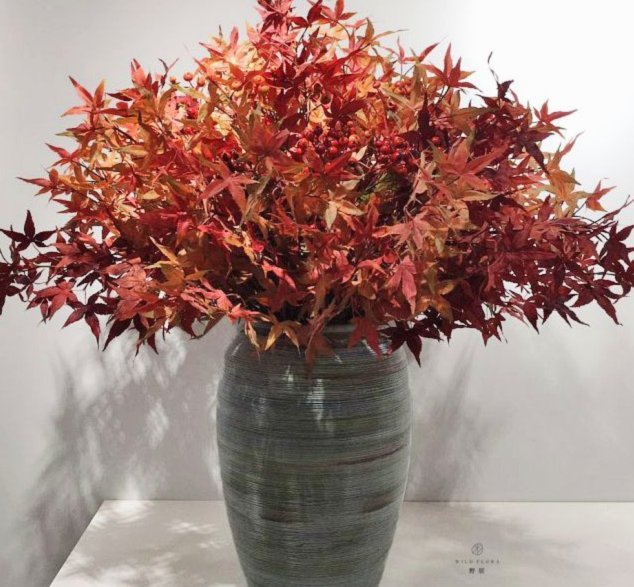 花呗分期“套现”？别闹了
