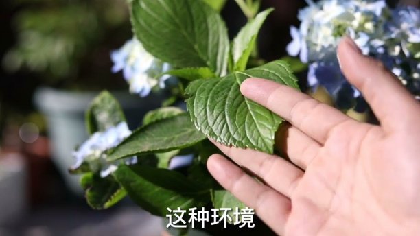 携程中拿去花怎么弄成现金