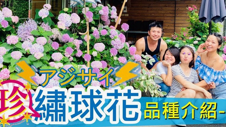 花呗是坑人的吗