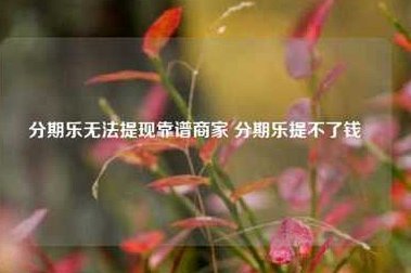 分期乐余额提现：别闹笑话