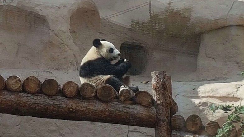 得物提现流程详解：Po 币积累与审核合规指南