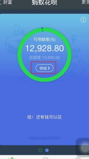 套用花呗额度是什么意思