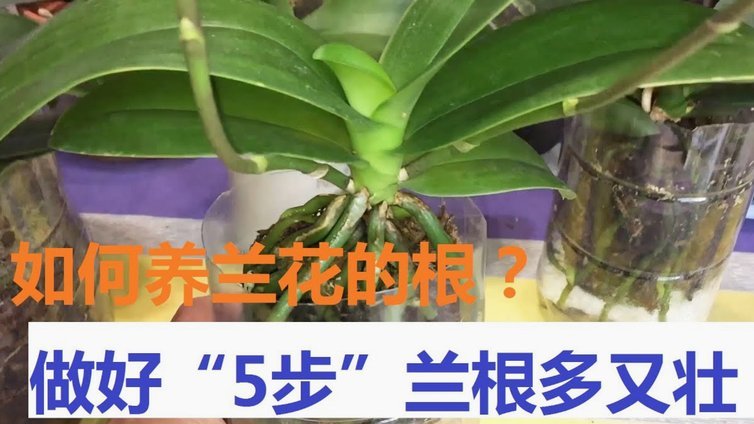 拿去花套现风险大吗？安全应对方法