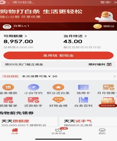 白条加油额度有什么用