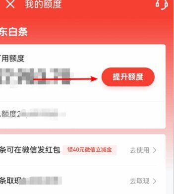 提升蚂蚁金服白条额度的方法