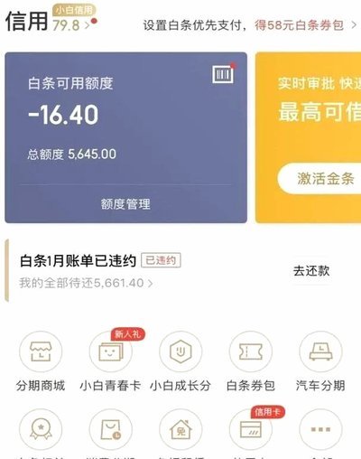 白条如何获得额度