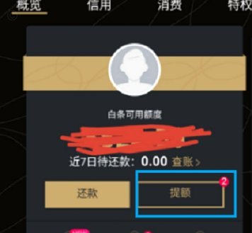白条如何获得额度